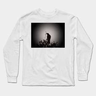 Crow silhouette Long Sleeve T-Shirt